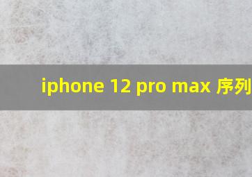 iphone 12 pro max 序列号